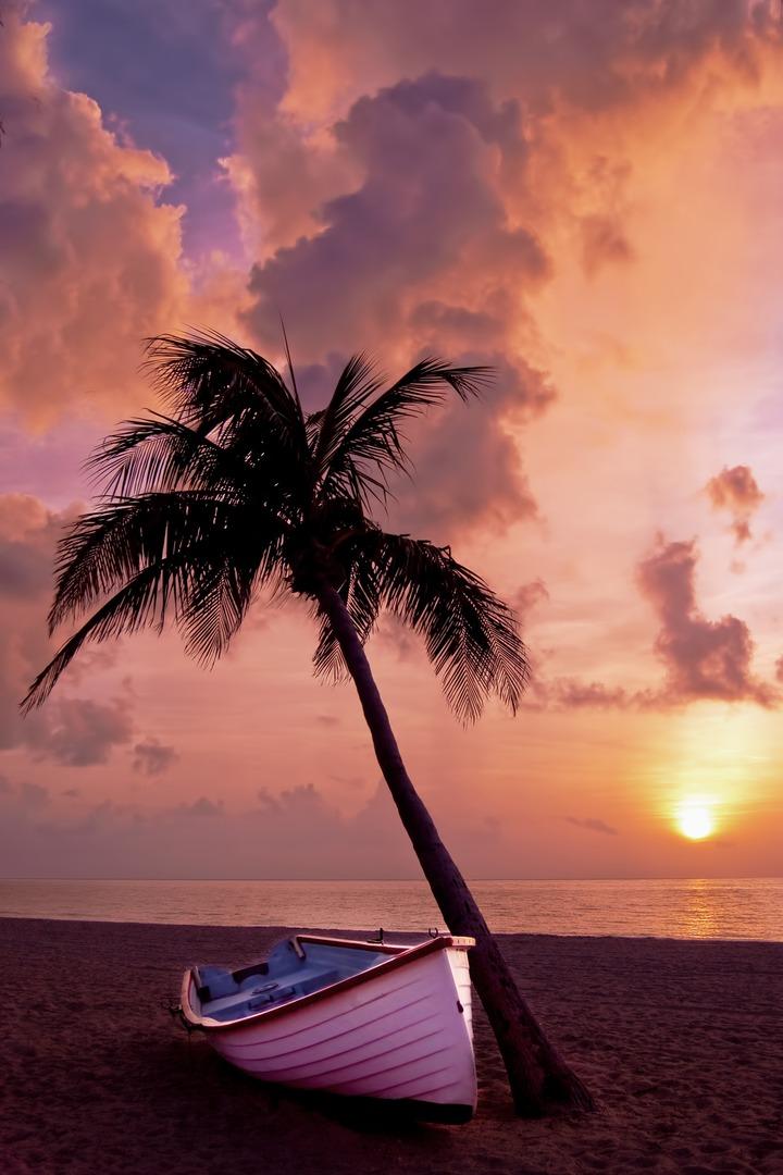 Beach tree sand ocean wallpaper