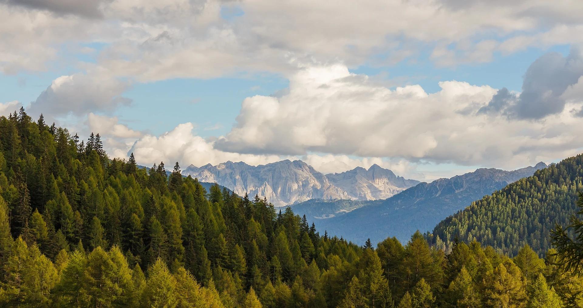 Free Beautiful mountains, trees and cloud wallpaper HD wallpaper download