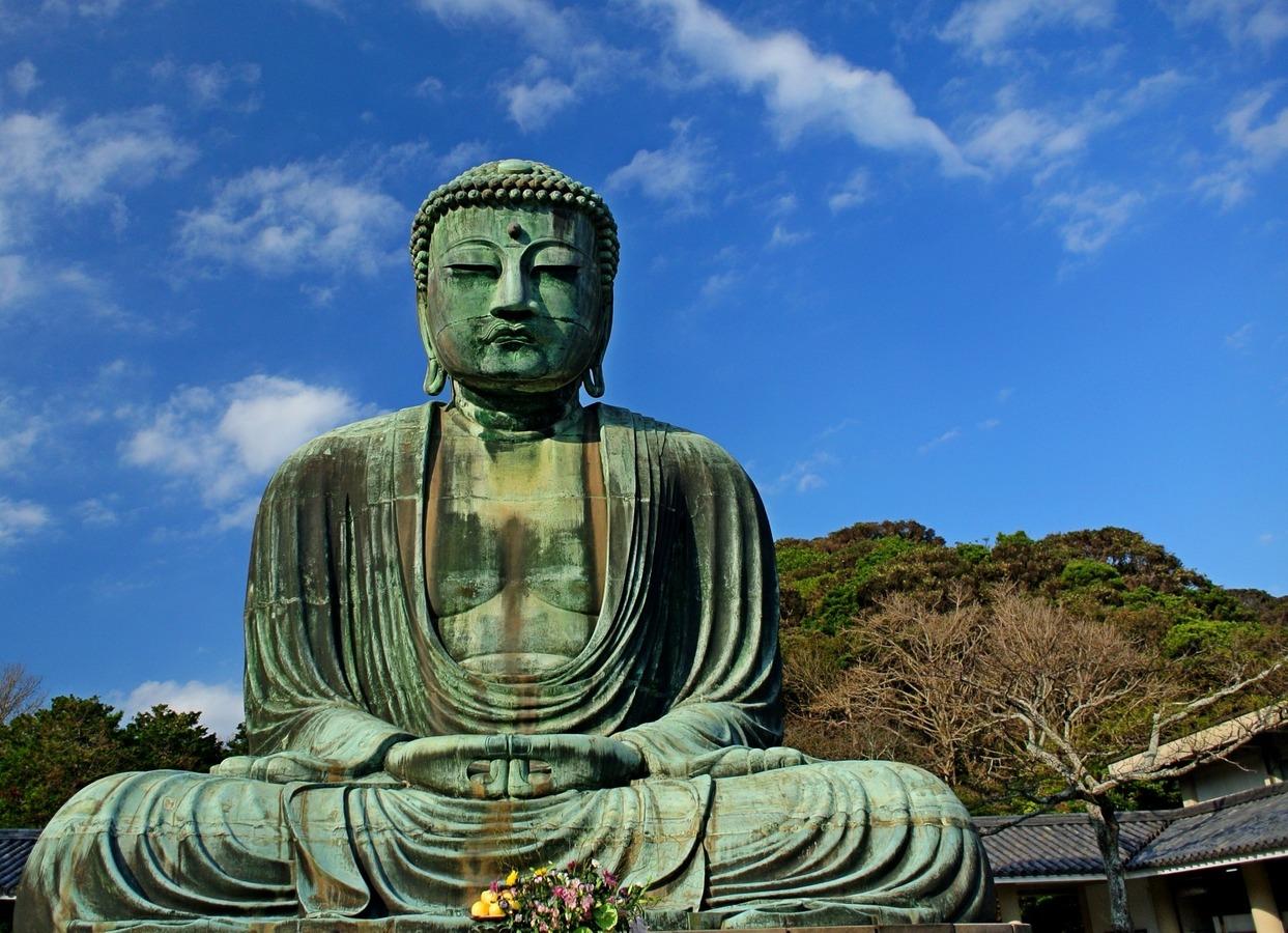 Free Buddha in the green color HD wallpaper download