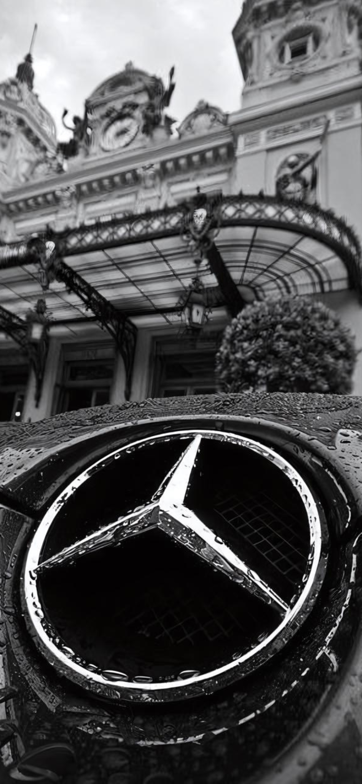 Car Mercedes logo in rain