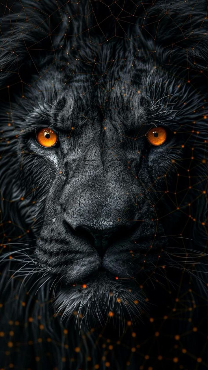 iPhone dark wallpaper 4k Black lion