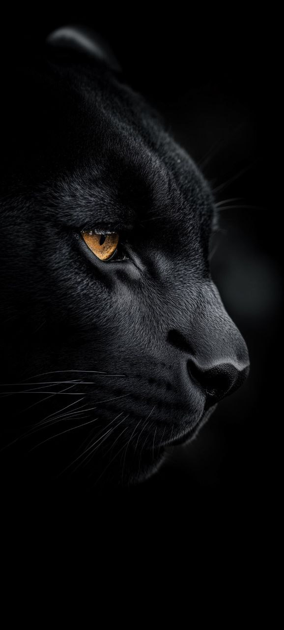 iPhone dark wallpaper 4k Black tiger