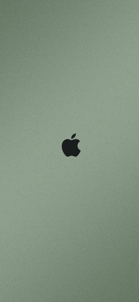 Silver apple logo 4k