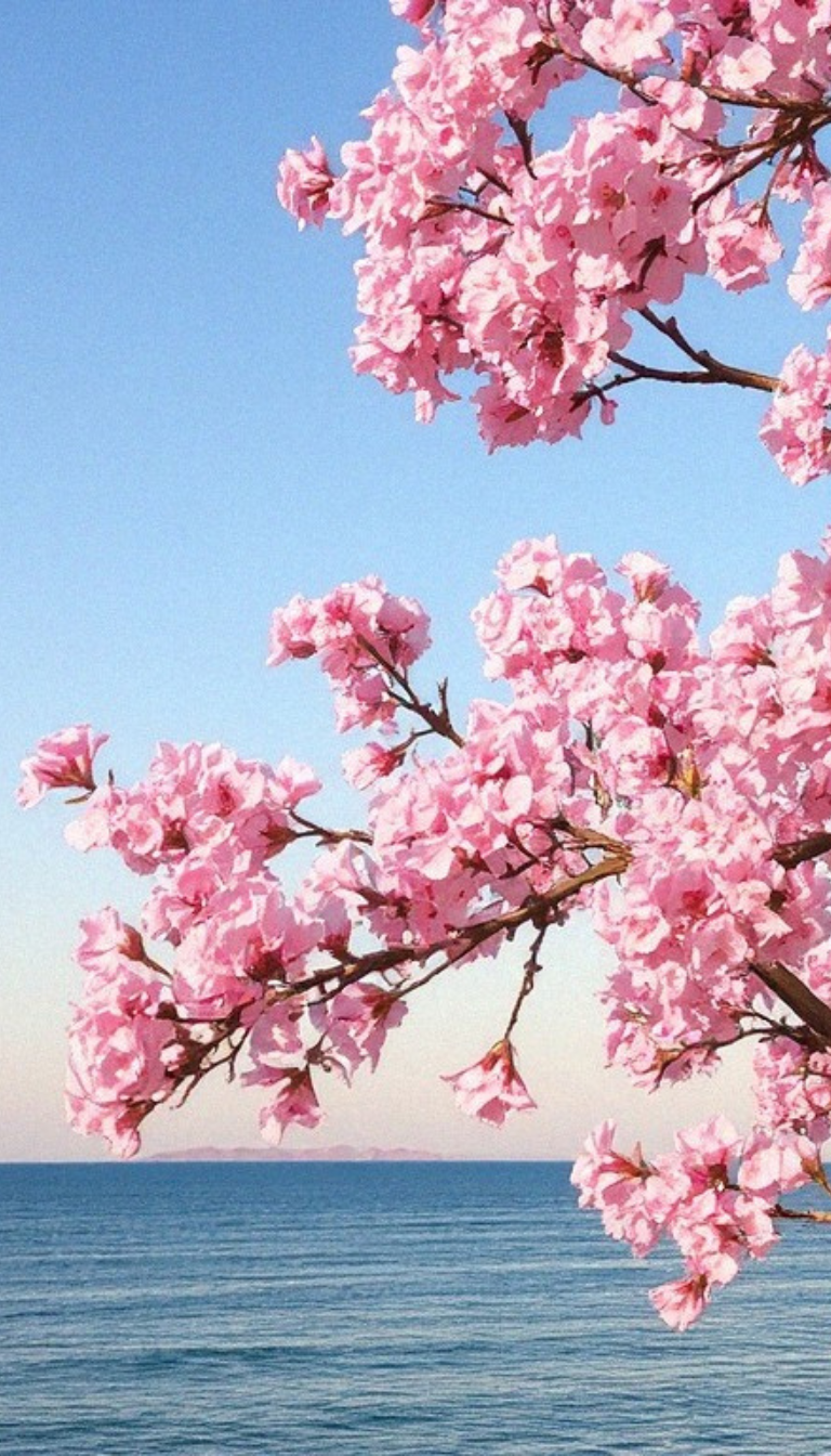 Tree and beautiful flower view wallpaper Tree and beautiful flower view wallpaper